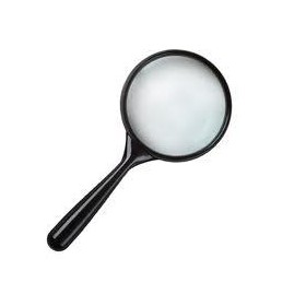 Problem Solving : STANDARD10: BCS-CA1-10